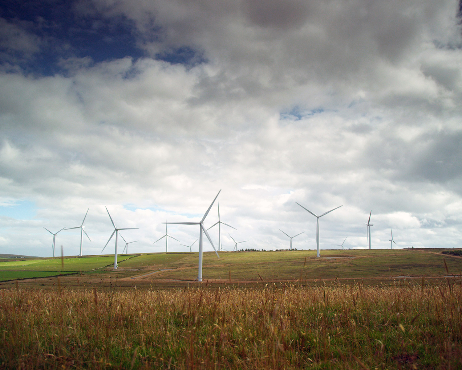 wind farm