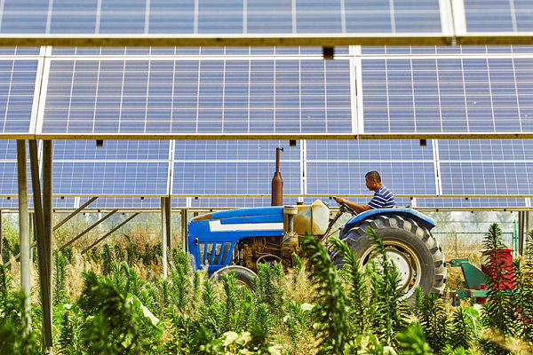 Traktor kjører mellom solcellepaneler